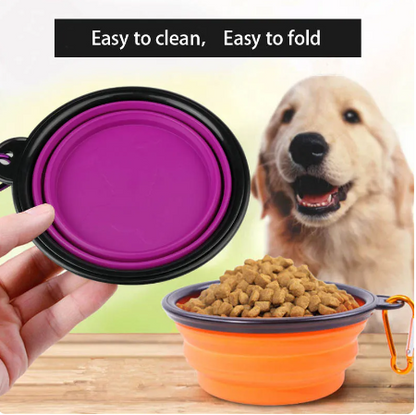 Collapsible Feeding Bowl